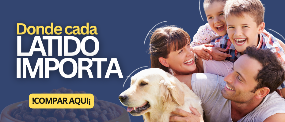 prueba