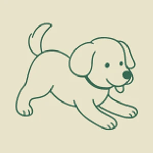 Productos para perros  a domicilio al mejor precio bonitos